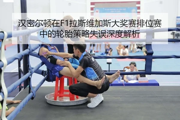 han-mi-er-dun-zai-la-si-wei-jia-si-da-jiang-sai-pai-wei-sai-zhong-de-lun-tai-ce-lve-shi-wu-shen-du-jie-xi-2-740.jpg